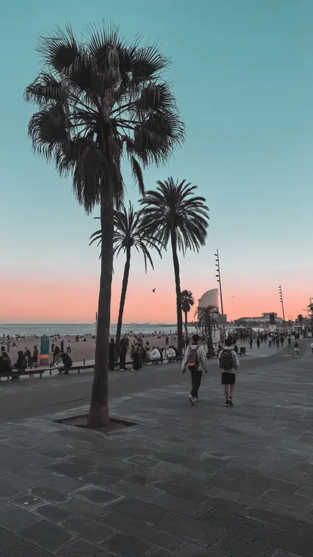Palms, Barceloneta