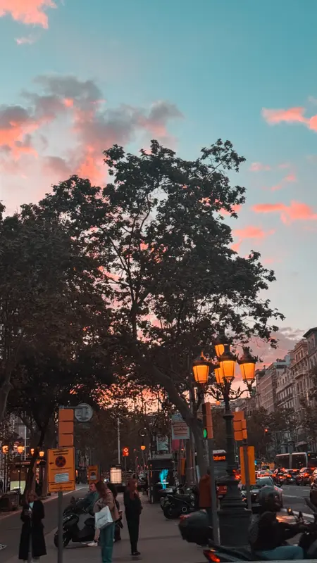Pink Sky