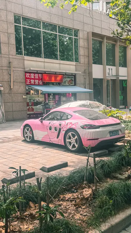 The Pink One