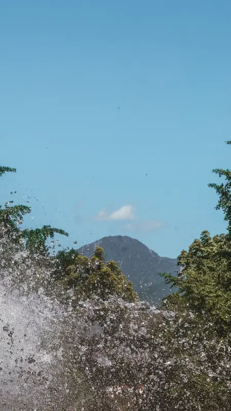 Spray