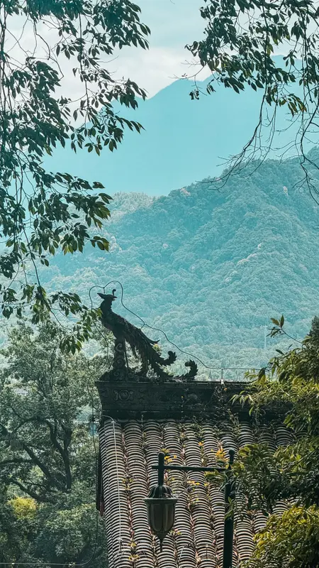 Roof and Mountains