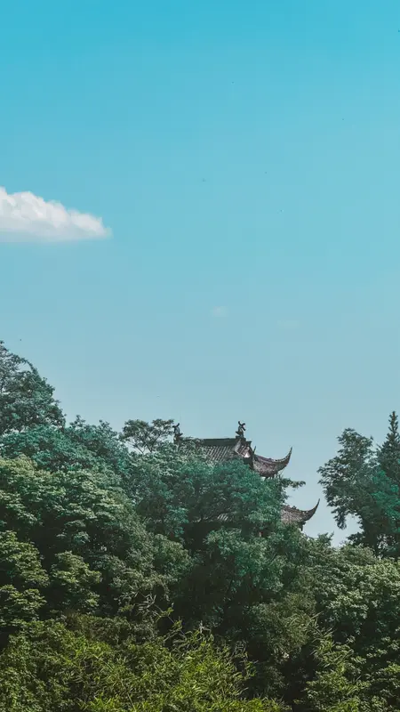 Corner of the Roof