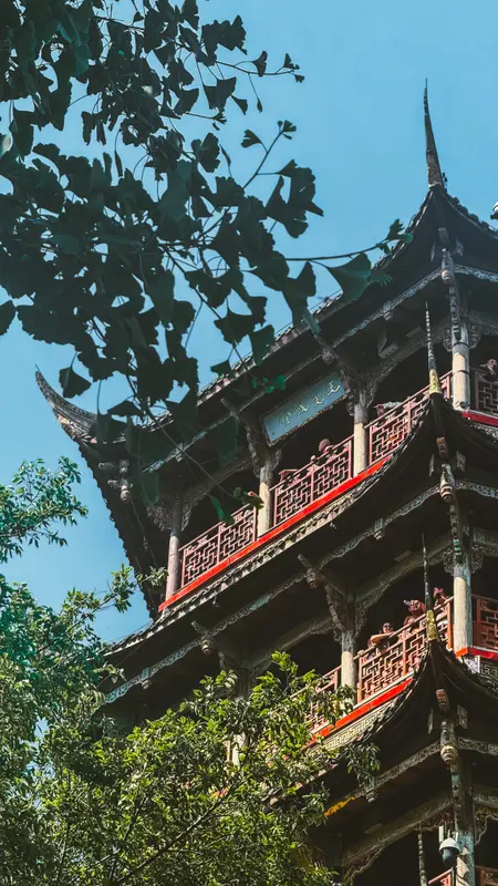 Birds Over the Tower
