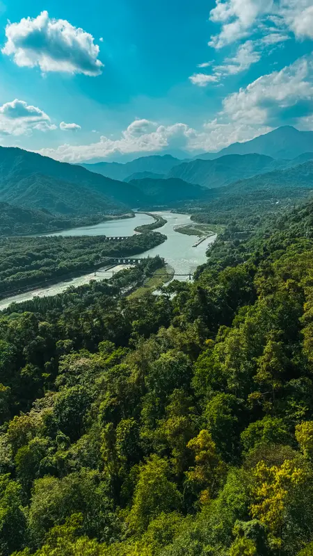The Whole Valley