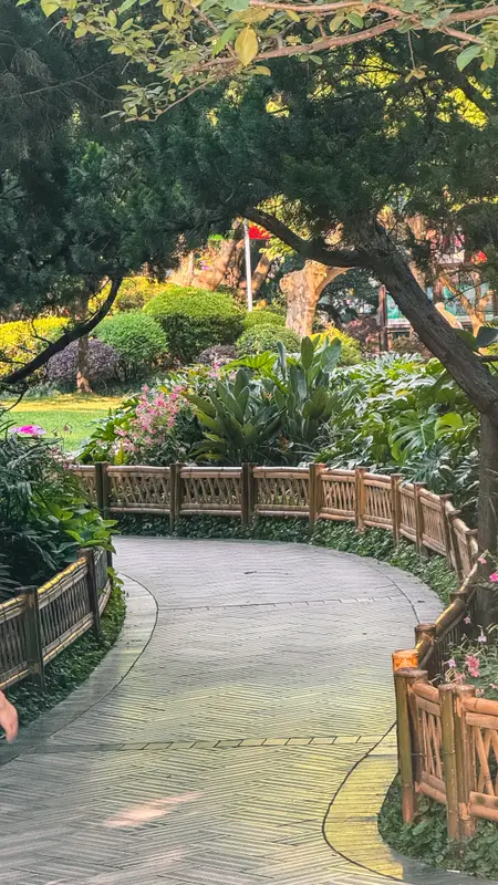 The Curve