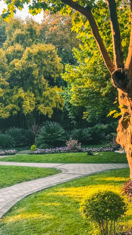 Lawn