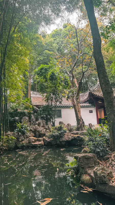 The Pond