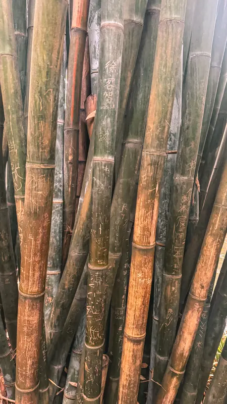 Stalks