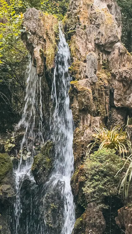 The Waterfall