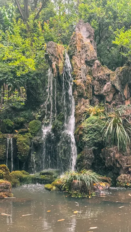 Waterfall and Koi