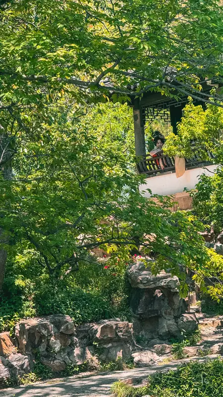 The Garden