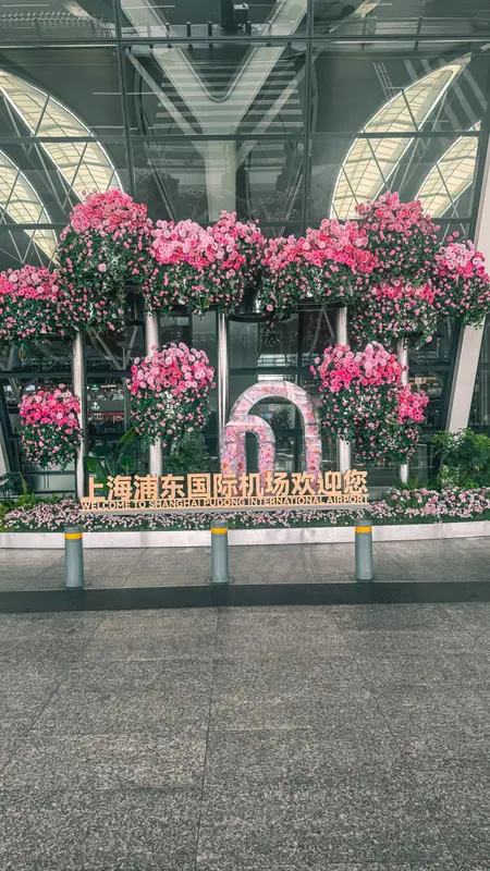 The Airport