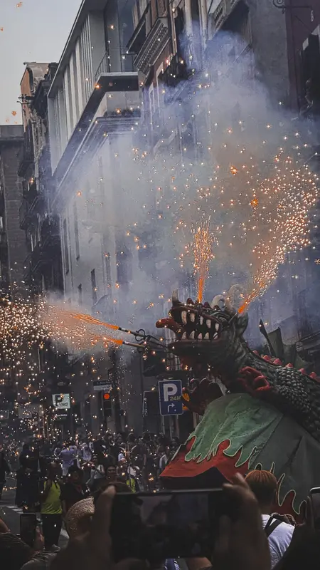 The Dragon