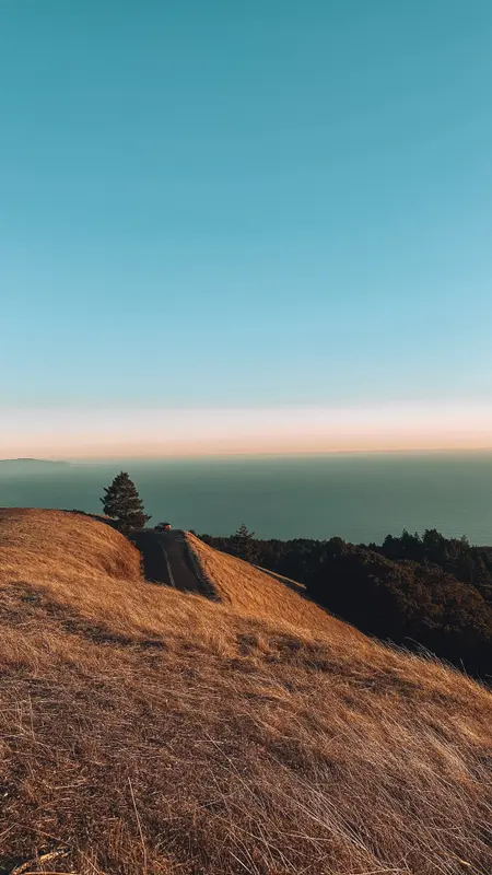 Golden Hill